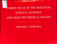 a brief atlas of the skeleton, surgace anatomy, and selected medical images