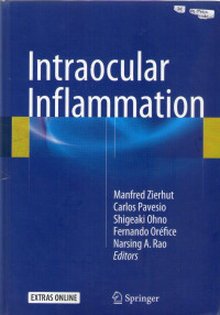 Image of Intraocular inflammation
